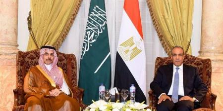 وزير الخارجية يبحث مع نظيره السعودي سبل تعزيز العلاقات الثنائية والتطورات الإقليمية