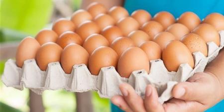 الأبيض يبدأ من 74 جنيها، سعر كرتونة البيض اليوم الثلاثاء ببورصة الدواجن