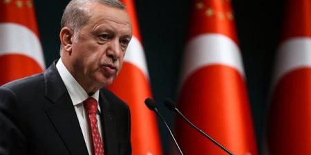 أردوغان: تركيا وبولندا تؤيدان التوصل إلى تسوية سلمية عاجلة في أوكرانيا