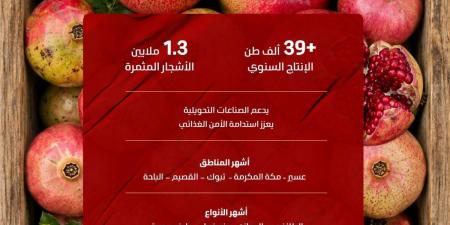 1.3 مليون شجرة رمان في المملكة تنتج 39.7 ألف طن خلال موسم الصيف