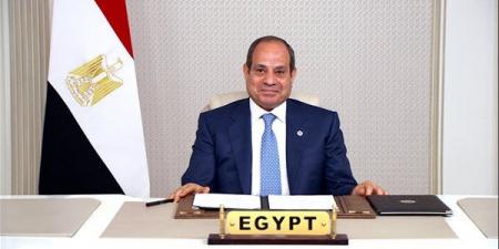 السيسي يشيد بالدور المحوري للهيئات القضائية في حماية المال العام ومكافحة الفساد