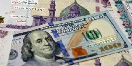 وفرة شكلية مؤقتة، خبير اقتصادي يكشف سر انخفاض سعر الدولار
