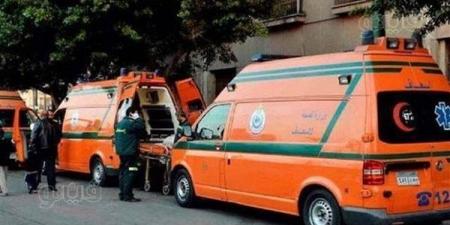 إصابة 3 أشخاص في تصادم دراجة نارية بسيارة ربع نقل بطريق المنصورة - جمصة