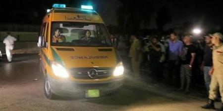 جريمة مأساوية في الغربية، مسجل خطر ينهي حياة سيدة طعنا في الشارع