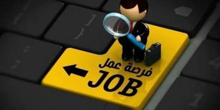وظائف خالية بمحافظة الجيزة 2026، فتح باب التقديم لعدد من التخصصات