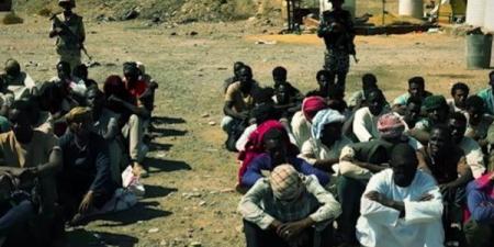 الحلقة الرابعة من درع الوطن.. تأثير ظاهرة الدهابة على أهالي مرسى علم اقتصاديا وأمنيا