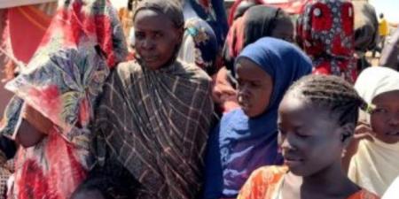 الأغذية العالمي يحذر من تفاقم الجوع بين الأسر النازحة في مدينة الأبيض بالسودان