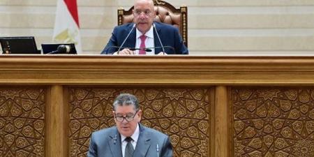 وكيل دفاع النواب يستعرض تفاصيل مشروع قانون جامعة كيان للعلوم التطبيقية