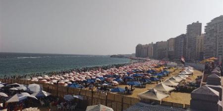رفع الرايات الخضراء والصفراء، شواطئ الإسكندرية كاملة العدد