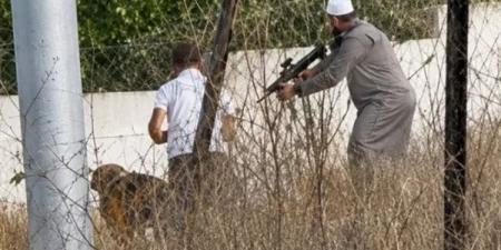 فاروق رمضان، قصة بطل أسطوري أعزل في أرض فلسطين (فيديو)