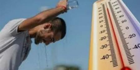 شبورة كثيفة وأتربة عالقة وذروة الموجة الحارة، حالة الطقس اليوم