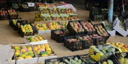 أسعار المانجو اليوم الثلاثاء، الغزو الإسمعلاوي يهز عرش 10 أصناف بالأسواق