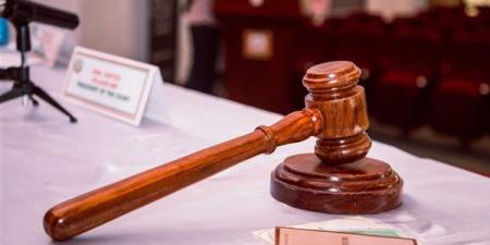 محاكمة 8 متهمبن باستعراض القوة وترويع المواطنين بالهرم.. 19سبتمبر
