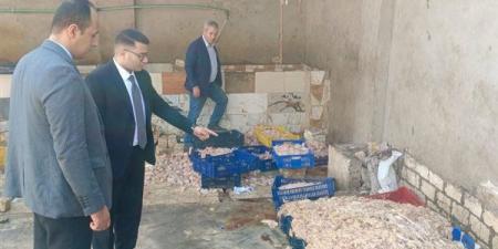 "حماية المستهلك" يضبط مصنعا غير مرخص بأبو النمرس بداخله طنَّا أجزاء دواجن فاسدة