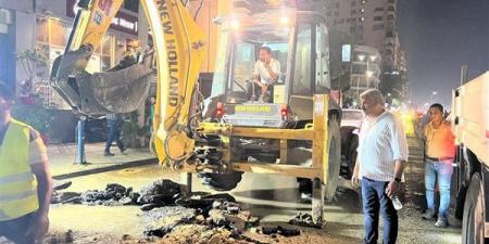 بعد جدل "ليه القطع مش النقل؟"، القصة الكاملة لأشجار جامعة الدول وأسرار التطوير