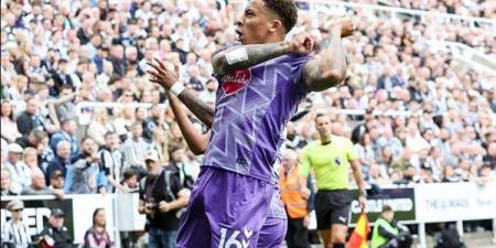الدوري الإنجليزي، بورنموث يتقدم على نيوكاسل 2-1 في الشوط الأول (فيديو)