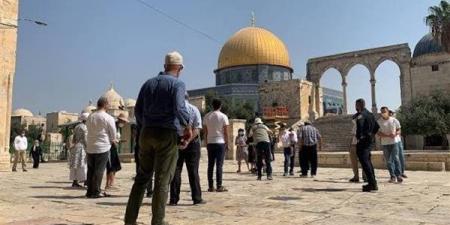 محافظة القدس: سلطات الاحتلال تصدر 15 قرار إبعاد بحق رجال دين ومقدسيين عن الأقصى