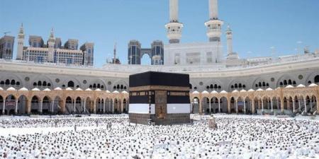 أول تعليق من السياحة والآثار حول حادث المعتمرين المصريين بالسعودية