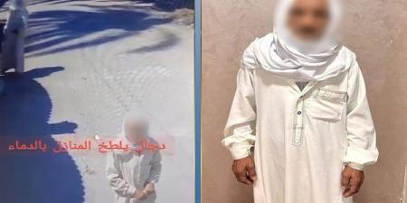 دماء تثير الجدل على السوشيال ميديا، القصة الكاملة وراء فيديوهين بالبحيرة والأقصر