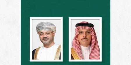 وزير الخارجية يبحث مع نظيره العُماني أوضاع المنطقة وضمان أمن وحرية الملاحة