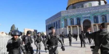 قطر تدين استمرار اقتحامات مستوطنين للمسجد الأقصى المبارك