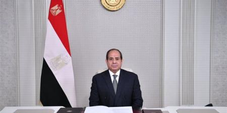 تفاصيل لقاء السيسي ورئيسة مجموعة "أورنج" العالمية