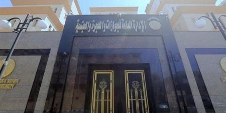 للمصريين المهاجرين، خطوات الحصول على خطاب التأمينات لصرف المستحقات التأمينية والرسوم المطلوبة