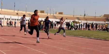 جامعة عين شمس تبدأ حصد الميداليات في أسبوع شباب الجامعات الرابع عشر