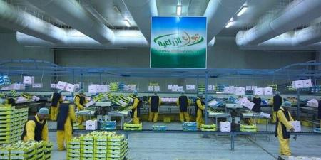 مساهمو "تبوك الزراعية" يقرون تخفيض رأس المال 80.47% لإطفاء الخسائر المتراكمة
