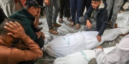 استشهاد 4 فلسطينيين وإصابة 12 بنيران الاحتلال الاسرائيلى فى غزة