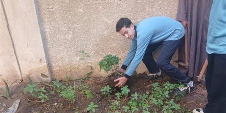 “اتحضر للأخضر” داخل مدارس الجيزة، تدريب الطلاب عمليا على زراعة الأشجار والنباتات