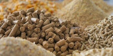 انخفاض الردة والصويا، أسعار الأعلاف والحبوب اليوم في الأسواق
