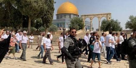 "الأوقاف الإسلامية بالقدس": 907 مستوطنين اقتحموا المسجد الأقصى بحماية شرطة الاحتلال
