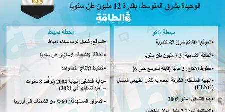 محطات إسالة الغاز في مصر.. الوحيدة بشرق المتوسط (إنفوغرافيك)