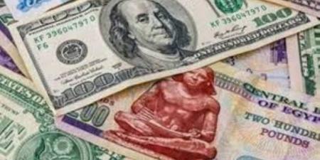 سعر الدولار مقابل الجنيه اليوم الثلاثاء فى البنوك