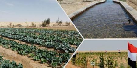 نائب يسأل الحكومة عن خطة ربط الصناعات الغذائية بالمشروعات الزراعية