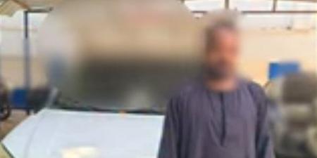 رحلة على حافة الخطر، ضبط قائد سيارة ربع نقل سمح بالركوب على الصندوق بالقاهرة