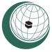وزراء خارجية دول منظمة التعاون الإسلامي يشددون على أهمية تعزيز أواصر التضامن بين أبناء الأمة الإسلامية