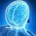 تطوير أول أطلس وظيفي لخرائط الدماغ البشري