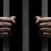 مواجهة قانونية تكشف التفاصيل، فتاة تتعرف على مسن اتهمته بالتحرش داخل ميكروباص بالمرج