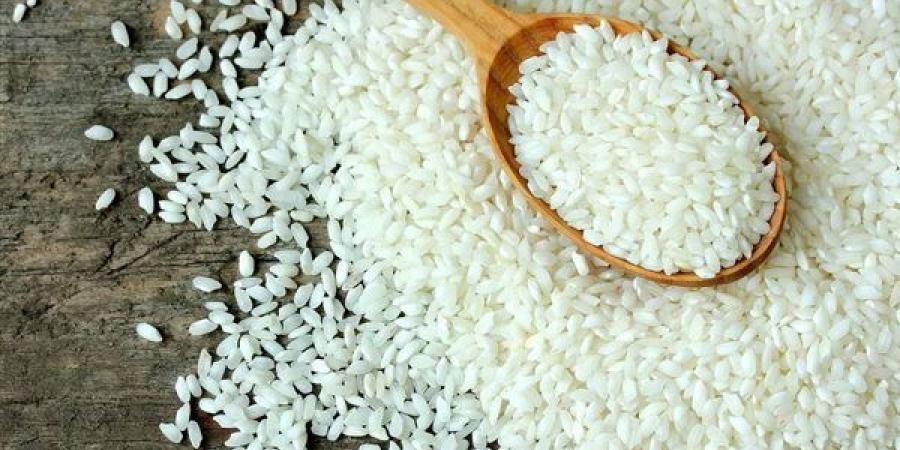 سعر
      الأرز
      اليوم
      الثلاثاء
      9
      أبريل
      2024
      بالسوق
      المحلي