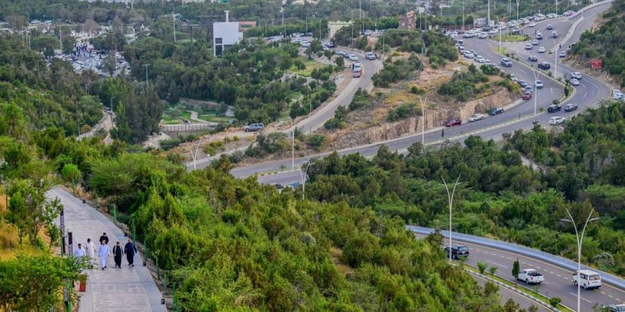 صيف الباحة.. فعاليات متنوعة وتجربة ترفيهية متكاملة للزوار