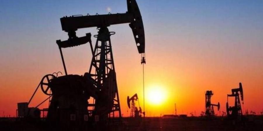 بلومبرج:
      مصر
      تتخلى
      عن
      شحنات
      نفطية
      بعد
      تأمين
      كميات
      كبيرة
      من
      الغاز
      المسال