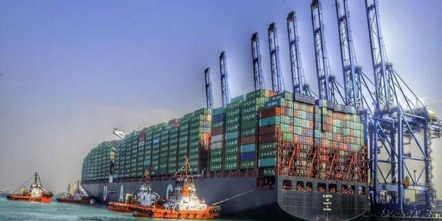 "موانئ":
      إضافة
      شركة
      "MSC"
      خدمة
      شحن
      جديدة
      إلى
      ميناء
      الملك
      عبدالعزيز
      بالدمام