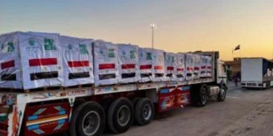 مندوب فلسطين بالجامعة العربية يبحث مع وفد شيشاني سبل تقديم المساعدات لقطاع غزة