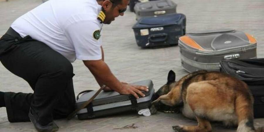 1402
      عملية
      ضبط
      في
      المنافذ
      الجمركية
      خلال
      أسبوع..
      والأسلحة
      والمخدرات
      في
      الصدارة
