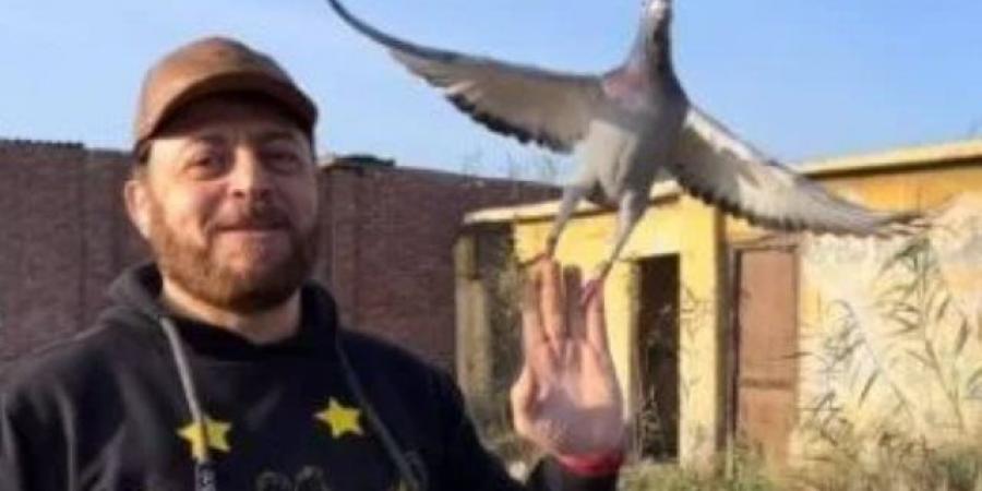 الخوانكى يفوز بالمركز الأول 22 مرة مكرر فى سباقات الزاجل بمحافظة القاهرة   المتسابق