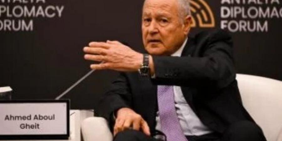 أبو الغيط يبحث هاتفيا مع وزيرة خارجية أيرلندا تطورات غزة والملفات الإقليمية