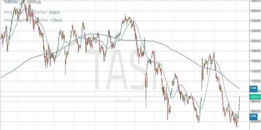 مؤشر "تاسي" يواصل الصعود.. تعرف على المستهدفات القادمة