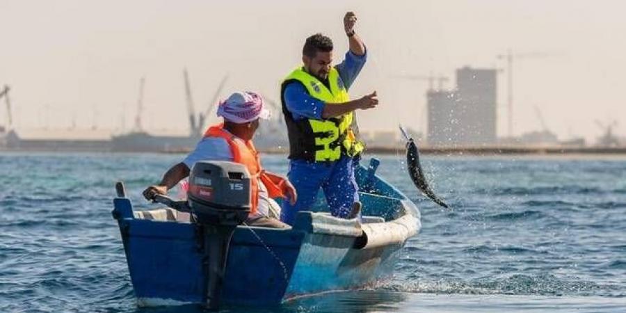 هيئة الإحصاء: ارتفاع المتوسط السنوي لأسعار الجملة 2% في 2025